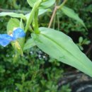 부천세무서 이미지