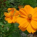 카톨릭병원 이미지