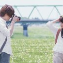 식물도감 이미지