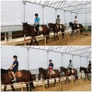 승마대리운전
