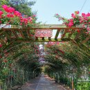 공운삼거리 이미지