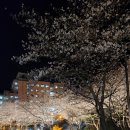 동신대학교 미래학사 앞 이미지