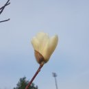 목련경노당 이미지