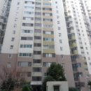 사파동305 이미지