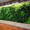 개림중학교 이미지