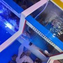 첨단전집 - 36611 | 월계동전집 첨단가볼만한곳