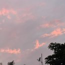 성보빌딩 | [구로 역전우동] 구로구청점 | 만원의 행복 세트 후기! 냉우동과 명란미니덮밥 조합 추천
