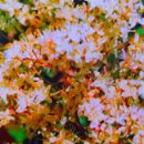 (주)파마존 이미지