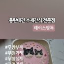 테이스팅독 이미지