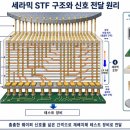 (주)샘씨엔에스(오송공장) | <26.07.15> 샘씨엔에스*