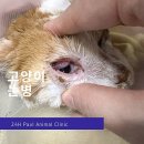 마이펫종합동물병원 이미지