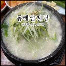 영계삼총사 | 파채와 함께 먹는 진한 삼계탕 배종관 동래삼계탕 내돈 내먹 후기