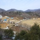 행운목장 이미지