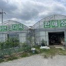 조마행정복지센터 입구 (옥외1) | 음성 다육이농원 대소면 자연과다육