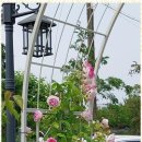 화원펜션 이미지