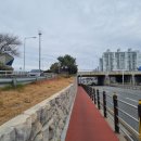 구포정비 | 갈맷길 6-1 &amp; 금용만두 &amp; 구포시장 후기