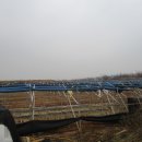 신암면010 이미지