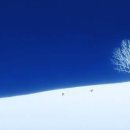 그린 헬스 이미지