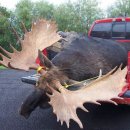 말코농장 이미지