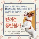 카페11월 이미지