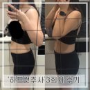 신사 하프클리닉의원) 올해 여름은 ‘하프컷주사’로 팔뚝&amp;복부 다이어트 3회차 효과 후기