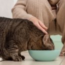 계절엔 동물의료센터 이미지