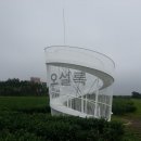 제주오설록티뮤지엄 이미지