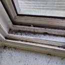 완산-34 | 🧹 전주 24평 · 34평 구축 아파트 이사청소