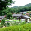 빙월당 Daum카페