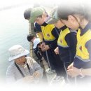 자연의 소리 Ⅱ 이미지