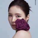 은은하게 뉴시스