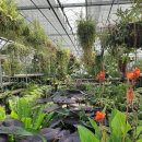 파주농장 이미지