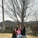 니은시옷 스테이 이미지