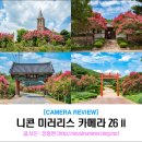 왜관방역공사 | 니콘 풀프레임 미러리스 카메라, Z6ii 와 함께한 대구 배롱나무꽃 출사