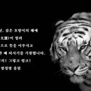 대운9길 네이버블로그