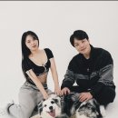웰니스점핑하이