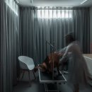 Design Dog 이미지