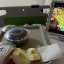 사랑애약국 | 갑상선암 기록_퇴원했어요