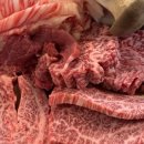 치커리생구이 이미지