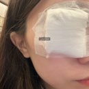 의료법인아인의료재단 아인산후조리원 | [임신:8주~12주]복통, 심소, 젤리곰, 태아보험 그리고1차 기형아검사