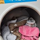 진리세탁 이미지