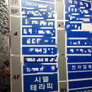 봄빛테라피 이미지