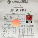 [hsk5급 합격] HSK IBT 접수처 한국사무국/탕차이니즈 4급,5급 시험 비교 실제후기