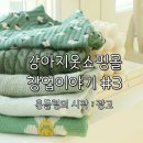 강아지옷쇼핑몰 창업이야기 #3 : 흔들림의 시작, 광고라는 함정