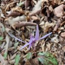 약수암샘터 이미지