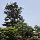 아오모리 여행 🍎 후지타 기념정원(藤田記念庭園)