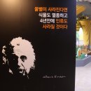 꿀벌랜드 이미지