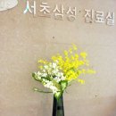 서초삼성부속의원 이미지