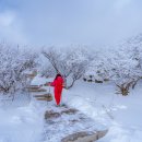 태산(泰山/타이산)의 아름다운 설경 사진 이미지