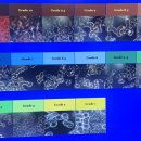 반룡인수한의원 이미지